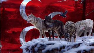 Download Yine Gürşat Kale - 2019 Seçim Müziği Mp3 and Video Yine Gürşat Kale - 2019 Seçim Müziği