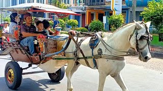 Download Lagu Naik delman istimewa 🎉 lagu anak anak Indonesia 🎉 Kuda tunggang 🎉 horse 🎉 nursery rhymes 🎉 kuda  MP3 Download Lagu Naik delman istimewa 🎉 lagu anak anak Indonesia 🎉 Kuda tunggang 🎉 horse 🎉 nursery rhymes 🎉 kuda  MP3