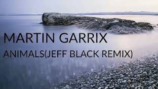 Martin Garrix-Animals(Jeff Black Remix)
