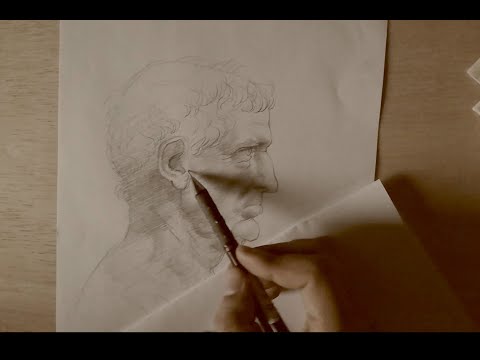 Leonardo da Vinci drawing style