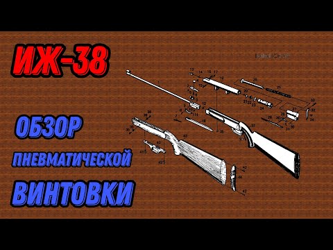 💥 Пневматическая винтовка ИЖ 38 обзор пневматики