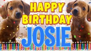 Happy Birthday Josie Funny Talking Dogs What Is Free On My Birthday