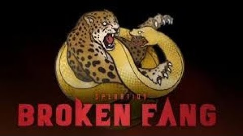 CSGO BROKEN FANG GUARDIAN TRAIN