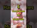 Haram Names For Muslim Girls Shorts Islam Islamicstatus Trendingshorts Haram Names For Muslim Girls Shorts Islam Islamicstatus Trendingshorts