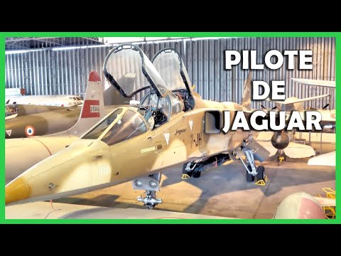 PILOTE  DE JAGUAR