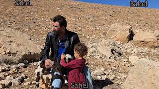 Download Lagu The nomadic life of engineer Babazadeh with Sahil Darghar Uden Dr. to help the sheep in the cold mou MP3