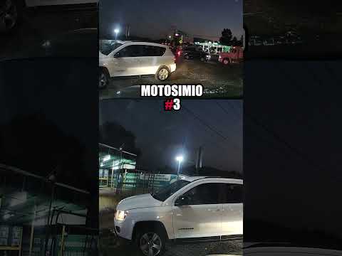 MOTOSIMIO #3, -67 de IQ, suelto en Huixquilucan