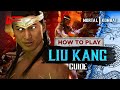 Liu kang guide by  scorpionprocs   mortal kombat 1  eng subtitles