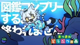 【 あつまれどうぶつの森 】図鑑が残り少ないのでコンプ耐久していきます #番外編7【白瀧炬燵/One Lyric】