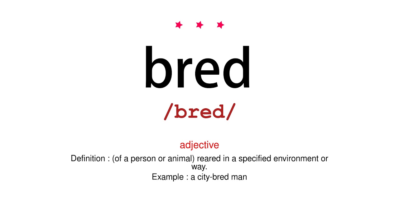 How to pronounce bred Vocab Today YouTube
