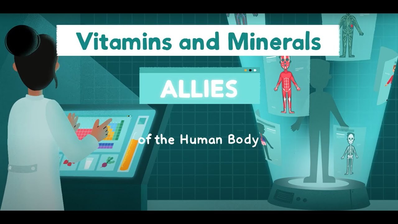 Vitamins and Minerals: Allies of the Human Body - YouTube
