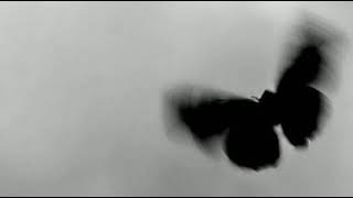 shattered - slowed