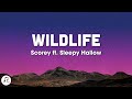 Scorey - Wildlife (Lyrics) ft Sleepy Hallow