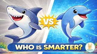Shark vs Dolphin 🦈🐬 | What’s the Difference | Animals for Kids