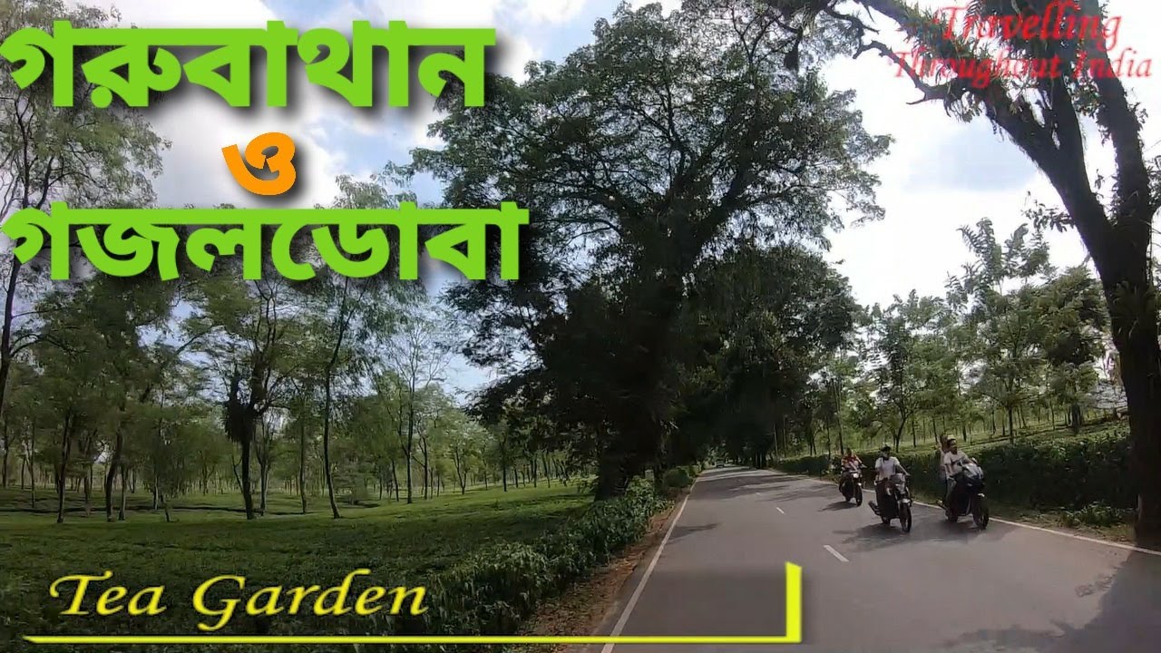 গরুবাথান | গজলডোবা | Gorubathan | Gajoldoba | Beauty of Dooars @HD