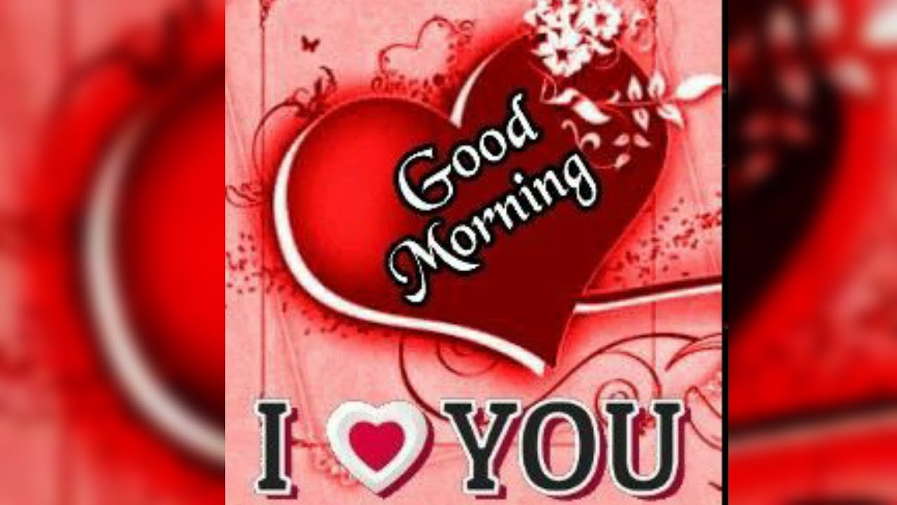 Good Morning Video ️ Good Morning Status video Good Morning WhatsApp