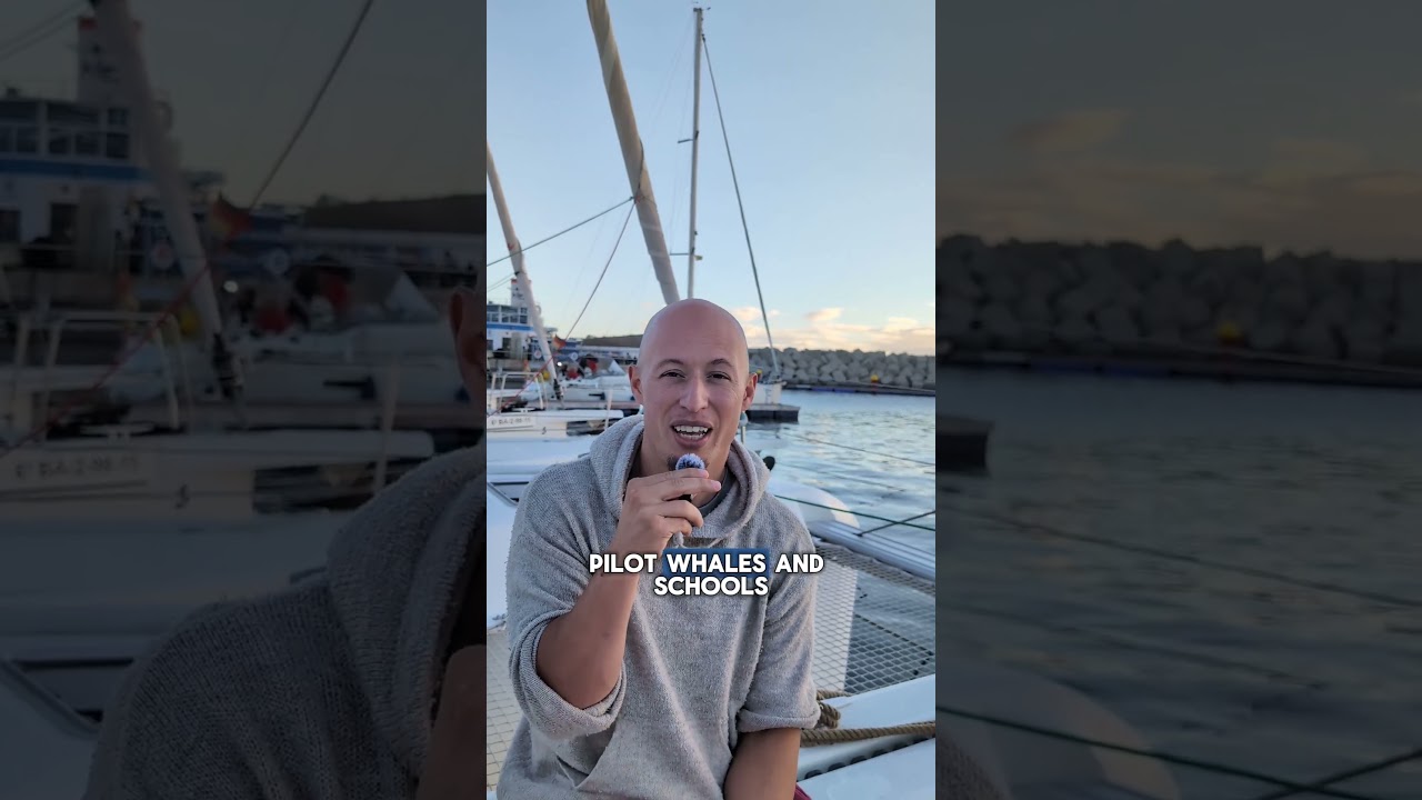 ⁣Guest Testimonial | Alex Salinsky a business consultant from California