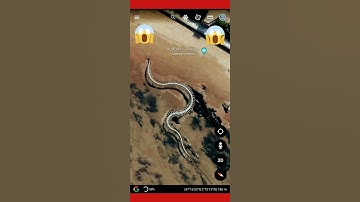 Thumbnail of REAL Titanoboa