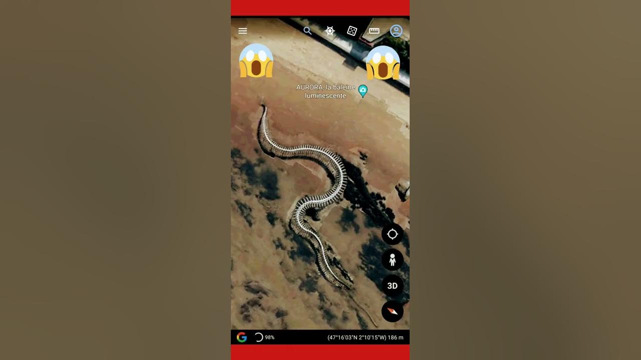 REAL Titanoboa REAL Titanoboa