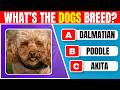 Guess the Famous Dog Breed Fun Animal Quiz