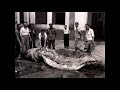 Tabarca. Fragments d'una entrevista al Manuel Amorós Molina, Manolo "Montes"  2 10/11/1996