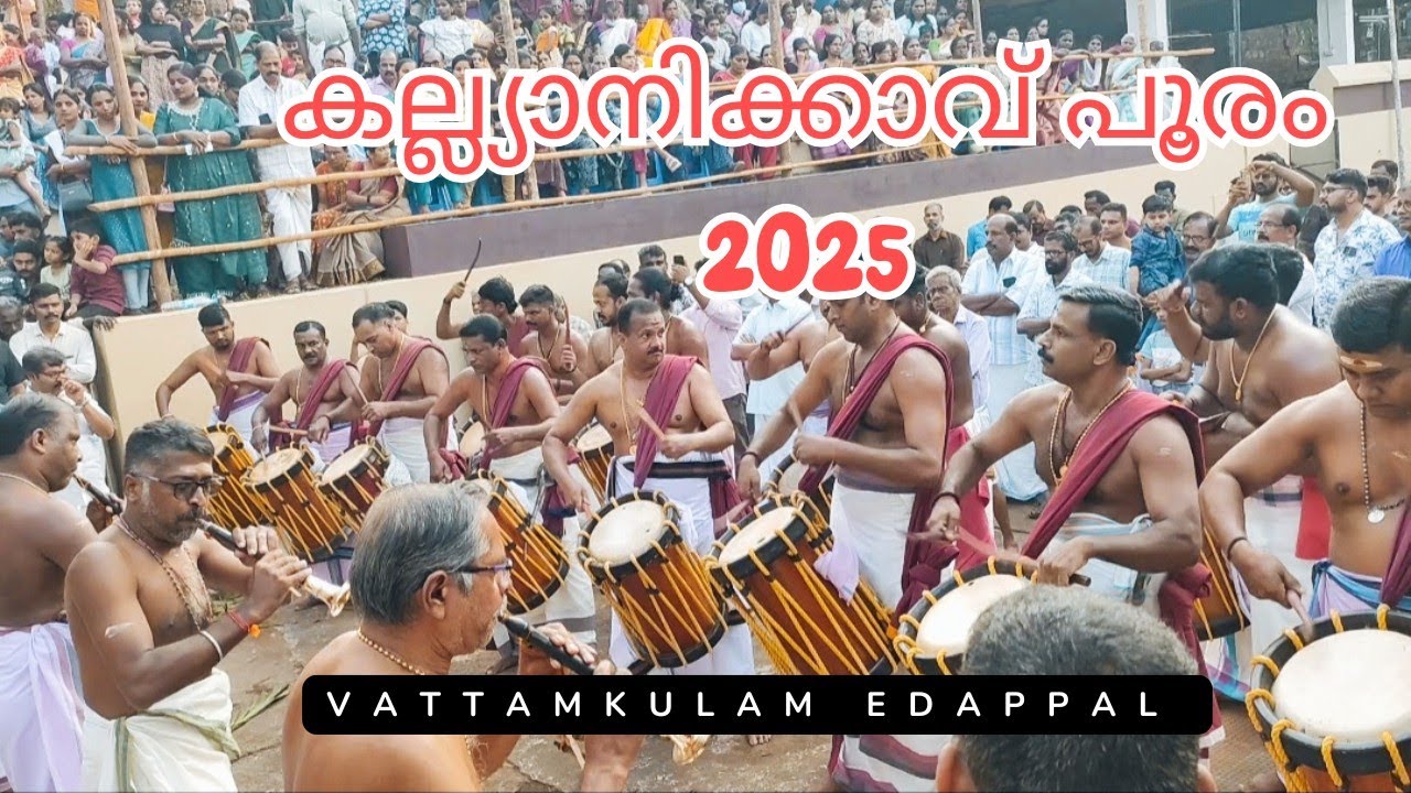 കല്യാനിക്കാവ് പൂരം 2025 l Kalyanikave Pooram 2025 l Vattamkulam  Edappal l Malappuram