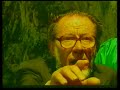 La Verda Stelulo (1996): filmo premiita en la Belartaj Konkursoj de UEA