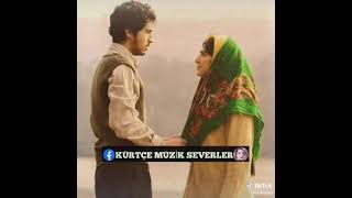 Gula Çiya Whatsaapp Status