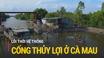 Cà Mau: Lỗi thời hệ thống cống thủy lợi | Truyền hình Quốc hội Việt Nam