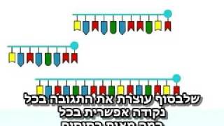 DNA Test Methods DNA Sanger Sequencing hebrew sub