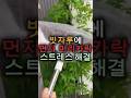 먼지 잡는 청소포의 정체 #청소해킹 #생활꿀팁