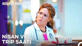 Sen Her İşin Üstesinden Gelirsin - Acil Aşk Aranıyor 14. Bölüm