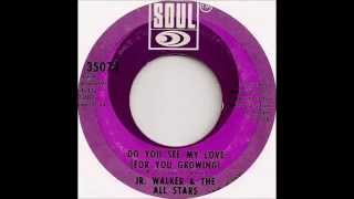Video thumbnail of "Jr Walker & The All Stars  - Do You See My Love For You Growing"