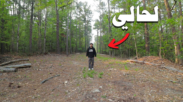 عشت لحالي في غابة : يوم ٨