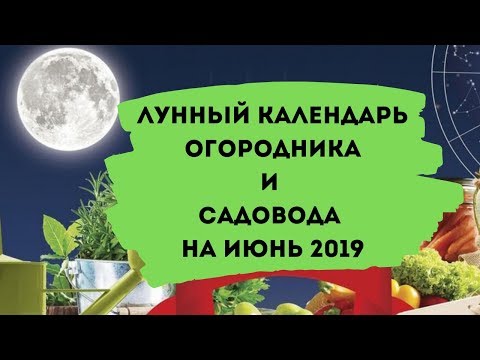 Лунный календарь огородника и садовода на июнь 2019