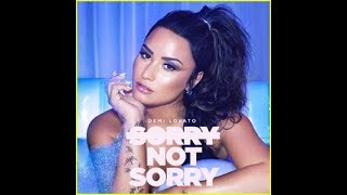 Demi Lovato Sorry Not Sorry İnterview
