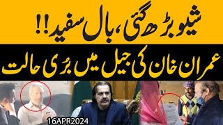 1 Din mien 2 Videos Viral hu Gaien |  Maryam Nawaz or Nawaz Sharif bhi Samnay aa Gaye | Details