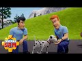 Firefighting Dog Adventures | Fireman Sam | Cartoons for Kids | WildBrain Bananas