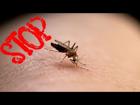 Video: Cât De Ușor Este Să Te Protejezi De țânțari în țară
