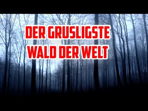 Video: Die Gruseligsten Wälder Der Welt - Alternative Ansicht