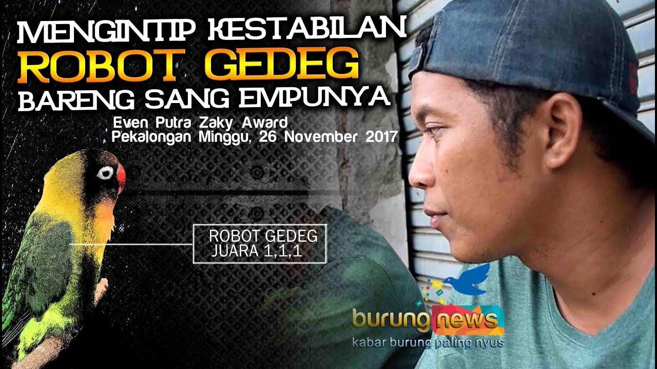 Burungnews Mengintip Kestabilan Robot Gedeg Bareng Sang