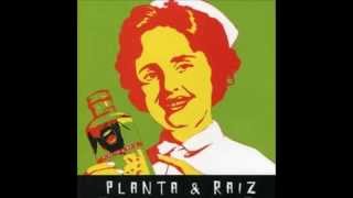 Video thumbnail of "Planta & Raíz - Com Certeza"