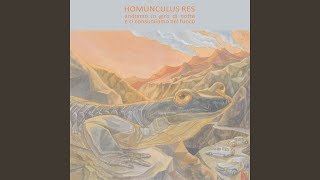 Vignette de la vidéo "Homunculus Res - Non dire no"