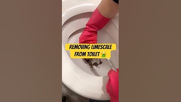 Nasty limescale removal (WARNING) 🤮🤢❌ #cleaning #tiktokviral #viralvideo #toilet