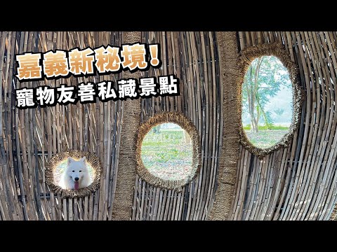 『嘉義新秘境！』寵物友善私藏景點，原來嘉義這麼好玩ft.嘉義縣文化觀光局 (薩摩耶多比Dobby is free)