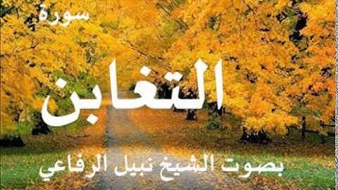 سورة التغابن بصوت الشيخ / نبيل الرفاعي 64