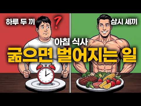 대체 하루 몇 끼를 먹어야 살이 빠지는 걸까? '이렇게' 드십시오!