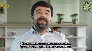 История салата «Цезарь» | Короли и капуста История салата «Цезарь» | Короли и капуста