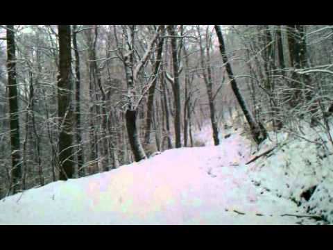 va w trees cut river bluefield east