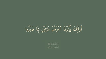 سورة القصص { 51-56 }                                                      القارئ | مشاري العفاسي